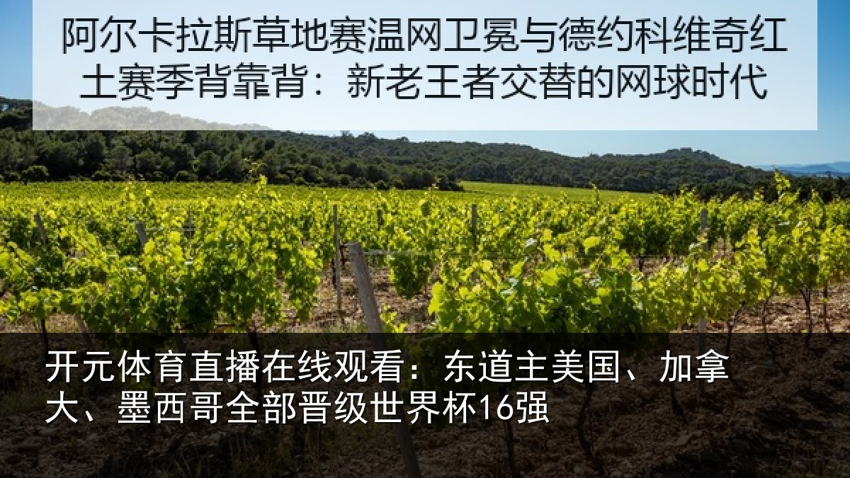 开元体育直播在线观看：东道相关情况哥全部晋级世界杯16强