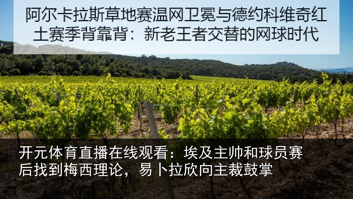 开元体育直播在线观看：埃及相关情况到梅相关情况主裁鼓掌