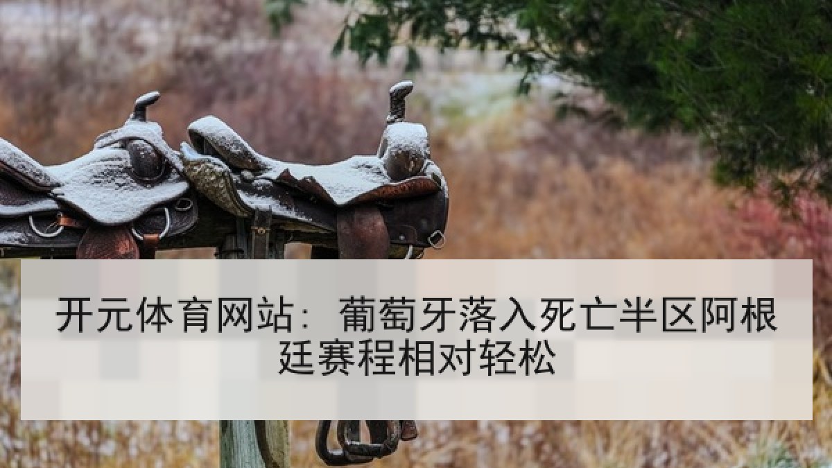 开元体育网站: 葡萄牙落入死亡半区阿根廷赛程相对轻松 开元体育网站: 葡萄牙落入死亡半区阿根廷赛程相对轻松